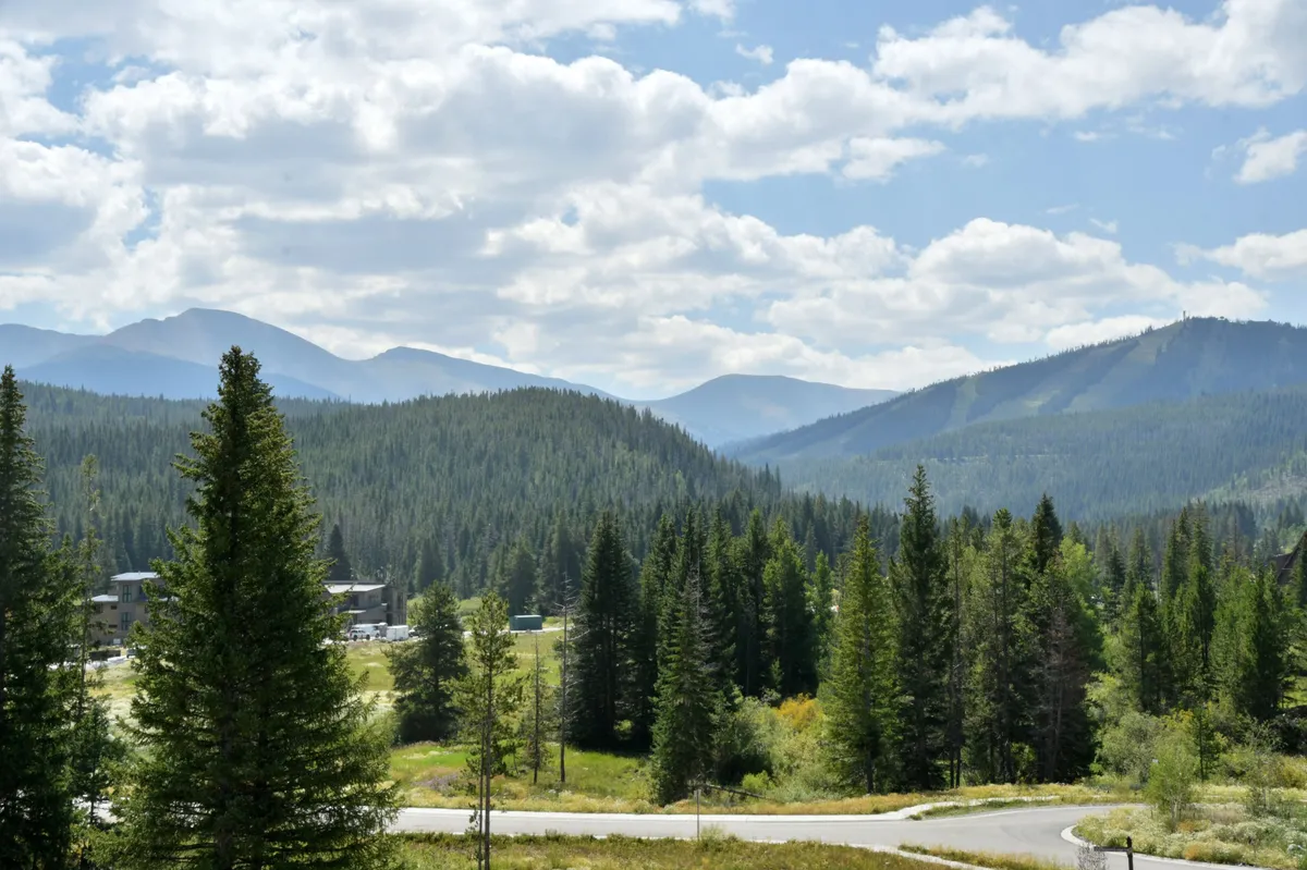 A panoramic view of a mountain range and dense forest under a clear sky. The untouched wilderness hints at possibilities for hiking, mountain biking, and exploring during spring and summer.